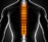 chiropractic philosophy preview image About PCS
